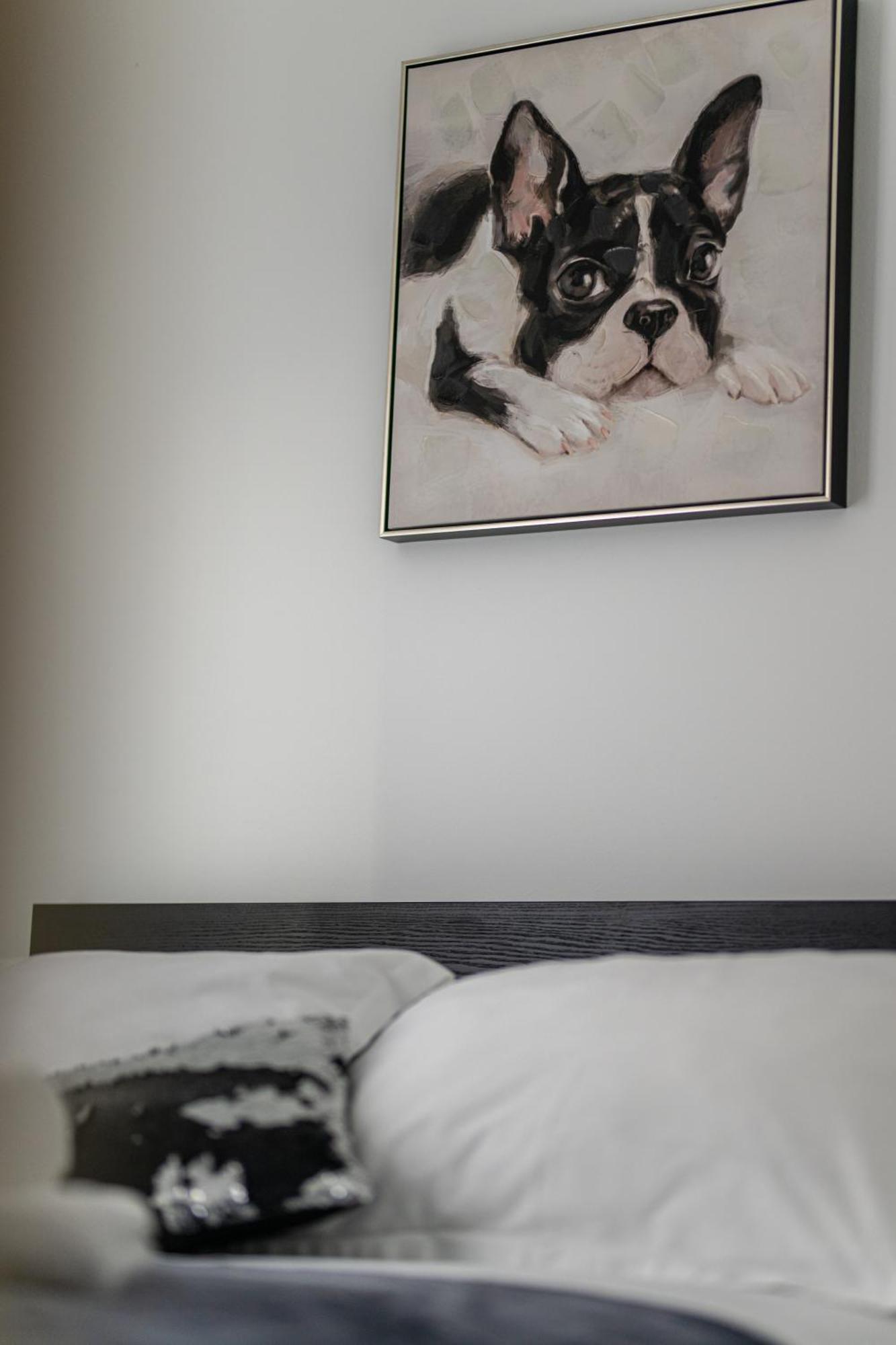 Babylu Apartman Zadar Ngoại thất bức ảnh